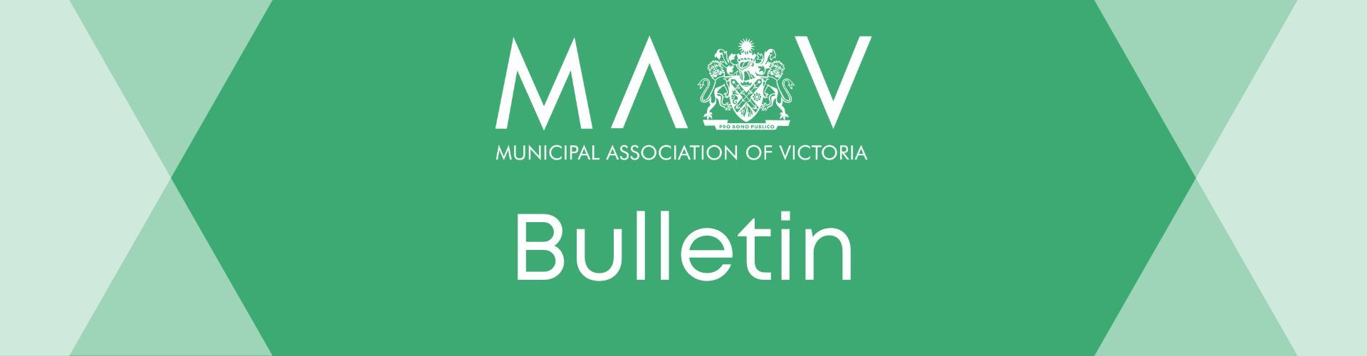 MAV Bulletin Image