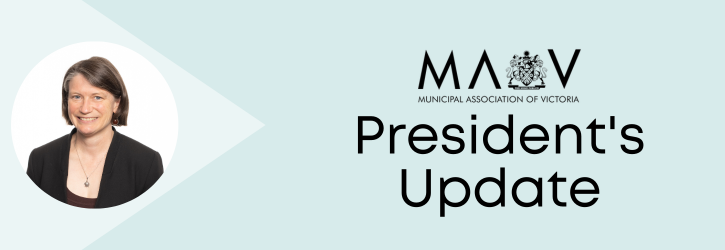 MAV President's Update Banner